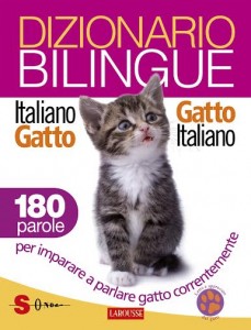 dizionario gatto uomo