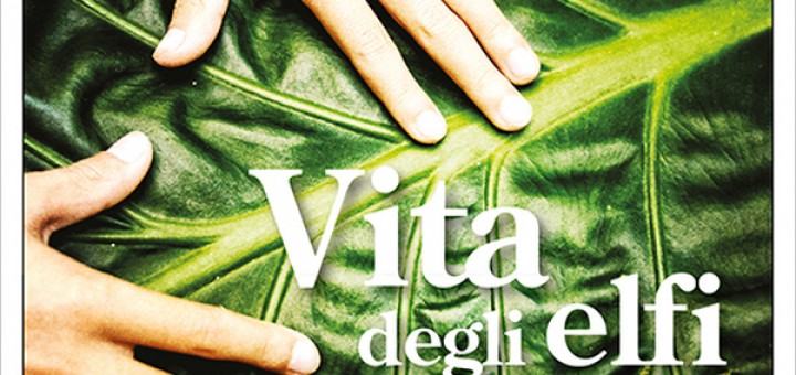 vita degli elfi