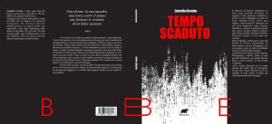 Tempo scaduto – Luisella Ceretta